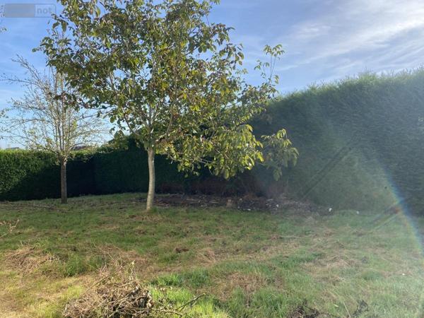 Maison à vendre à Vire-Normandie dans le Calvados (14500), ref : 14076-5846