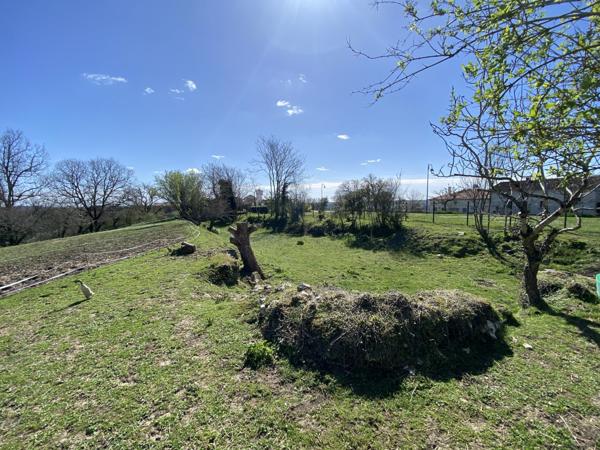 Lauzerte (82110) Lauzerte Ferme En Pierre Avec Grange à Renover, Belle Vues Et 3+ Hectares Terrain