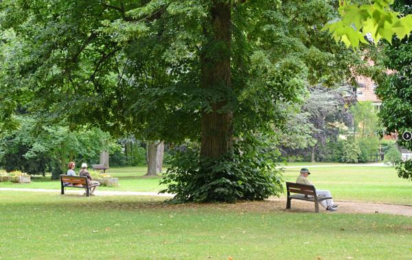 A Obernai, face au parc, un cadre de vie exceptionnel