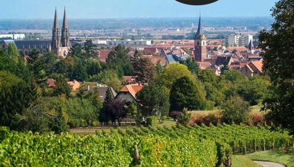 A Obernai, face au parc, un cadre de vie exceptionnel