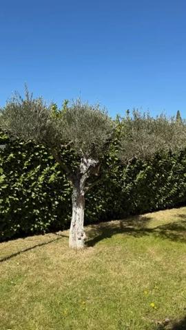 Immobilier Aix-en-Provence (13540) – Maison 90m2 – 785 000 €