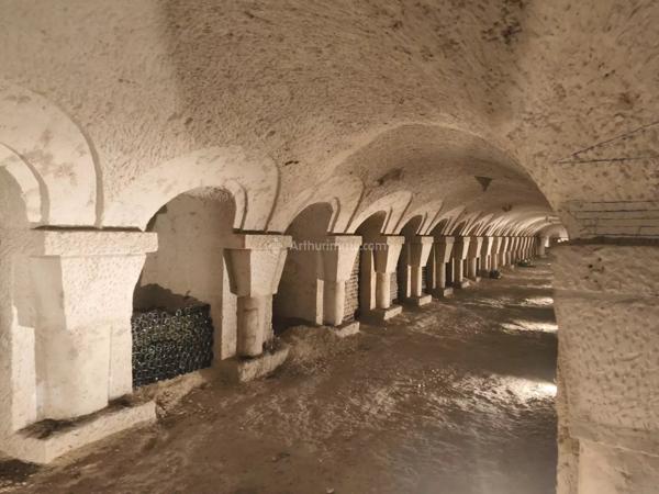 Vente Maison 10 pièces 295 m2 à La Chartre-sur-le-Loir