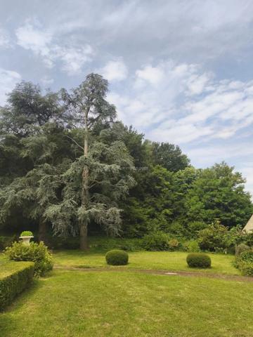 Vente Maison 10 pièces 295 m2 à La Chartre-sur-le-Loir