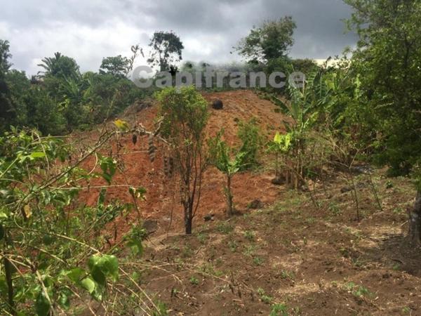A vendre terrain à bâtir à Hajangoua Commune de DEMBENI (976), de 6 969,00 m²