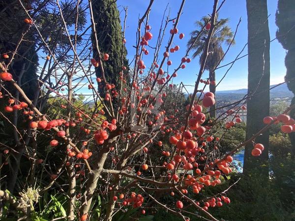 EXCLUSIVITE - Maison d’artiste Art-Déco florentin à Grasse – Quartier Rothschild