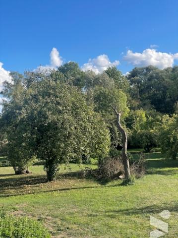 Un terrain à bâtir, situé sur la commune de SERAUCOURT-LE-GRAND (02790).