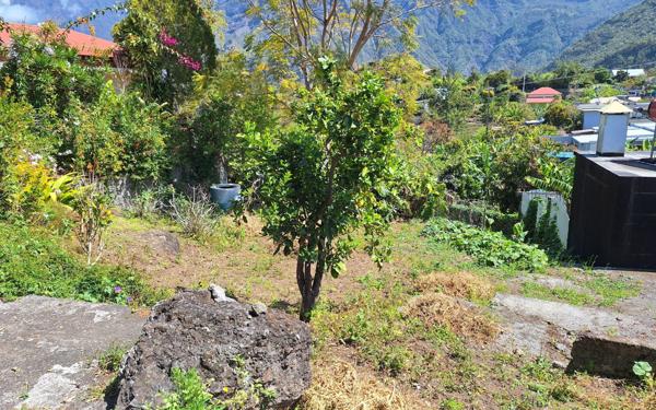 Maison à vendre    7 pièces •  Cilaos