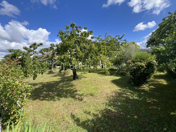 Située dans un environnement agréable sur la commune recherchée de Saint-Pryvé-Saint-Mesmin, découvrez cette maison de plain-pied d’environ 100 m² implantée sur une belle parcelle de 809 m².
Elle se compose d’une entrée, d’une chaufferie, d’une spacieuse pièce de vie avec cuisine aménagée et équipée, de trois chambres, d’une salle d’eau ainsi que de toilettes indépendantes.
Côté annexes, vous bénéficierez de deux garages, dont un équipé d’une porte motorisée.
Cette maison offre un beau potentiel et nécessitera quelques travaux de rafraîchissement pour être remise au goût du jour.
Un bien fonctionnel et confortable, idéal pour une famille souhaitant profiter du calme tout en restant à proximité immédiate d’Orléans.