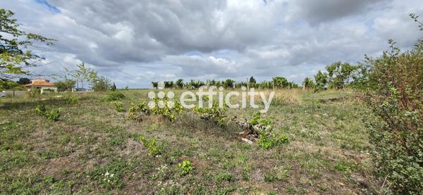 Terrain
        
        - 880 m² 54 900 € *