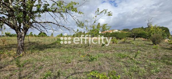 Terrain
        
        - 880 m² 54 900 € *