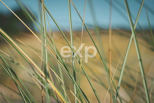 Terrain à Bâtir - Salles (Zone U, Libre de Constructeur)