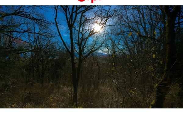 Terrain à vendre    Monnetier-Mornex