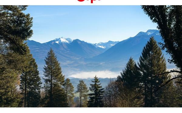 Terrain à vendre    Monnetier-Mornex