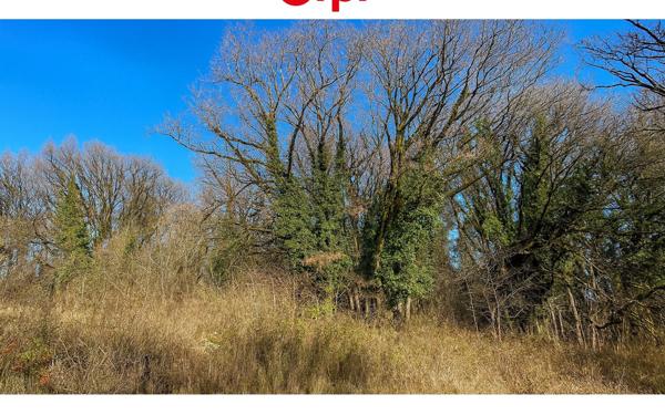 Terrain à vendre    Monnetier-Mornex