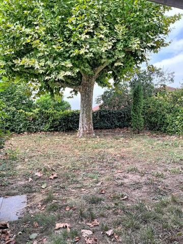 St-Didier : Appartement avec terrasse et jardin privatif en hyper-centre