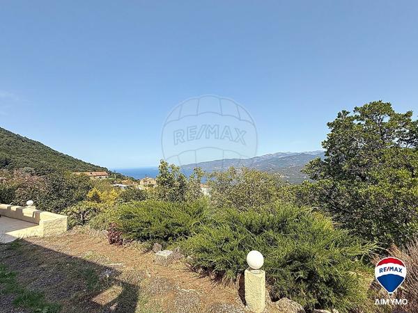 Maison  en vente - Corse - 20