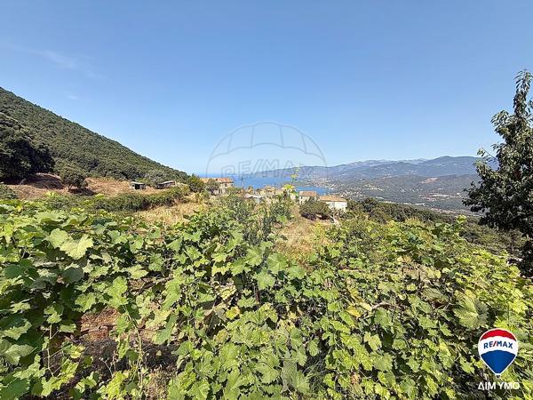 Maison  en vente - Corse - 20