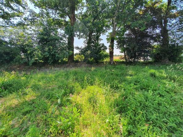 GUIDEL : Maison neuve avec vie de plain-pied