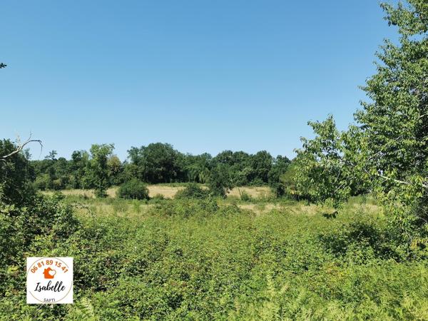 2 propriétés dont la nature a repris son droit