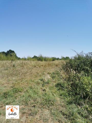 2 propriétés dont la nature a repris son droit