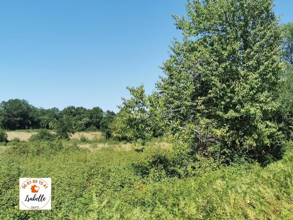 2 propriétés dont la nature a repris son droit