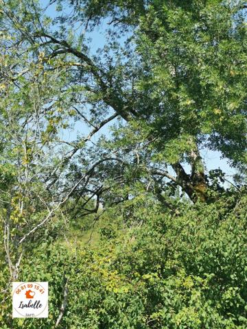 2 propriétés dont la nature a repris son droit
