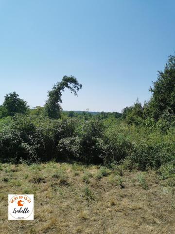 2 propriétés dont la nature a repris son droit