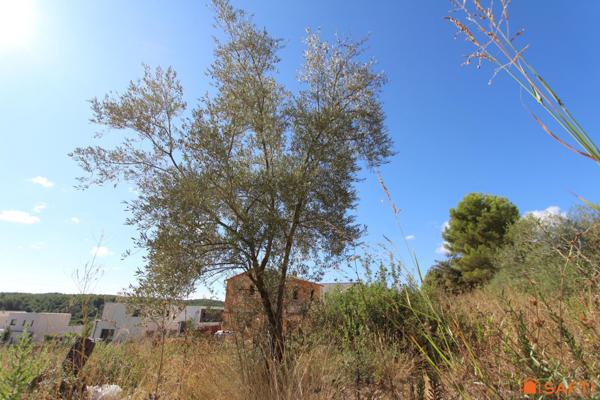 URGENT Terrain 667 M²