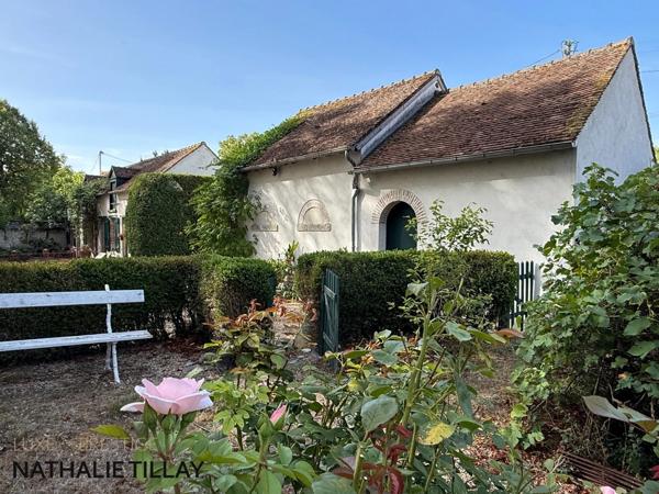 Propriete, Orleans La chapelle St Mesmin, face Loire, à vendre, maison de Maître, maison d amis, parc