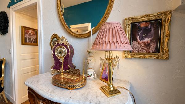 Maison bourgeoise du XIXᵉ siècle en bordure du Goire – Confolens Détails des diagnostics énergétiques