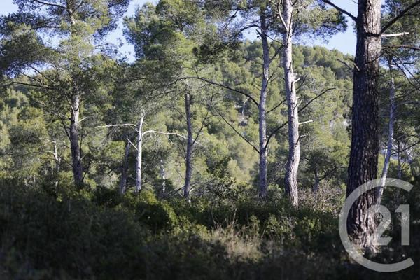 terrain à vendre  7237 m2 ISTRES - 13