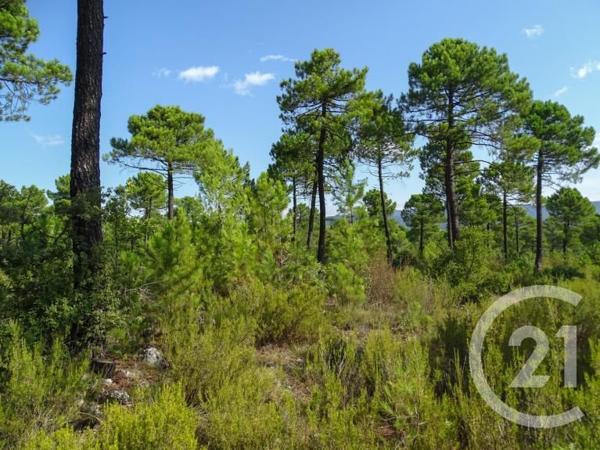 terrain à vendre  7237 m2 ISTRES - 13