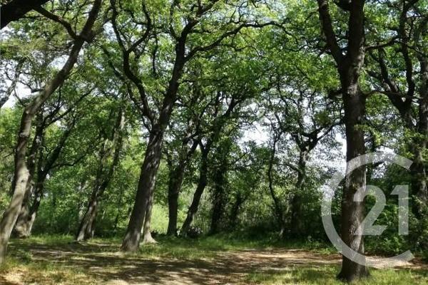 terrain à vendre  7237 m2 ISTRES - 13