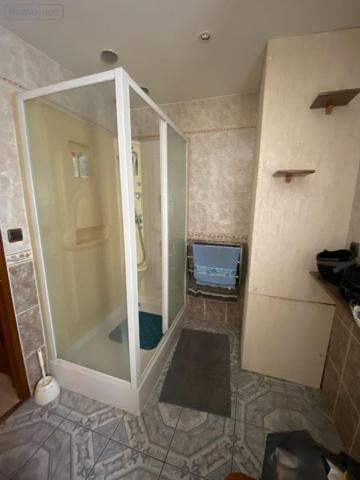 Maison à vendre à Villedieu-sur-Indre dans l'Indre (36320), ref : 1051511