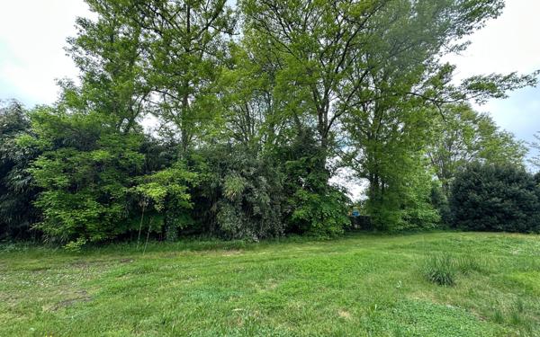 Maison à vendre    4 pièces •  Herm