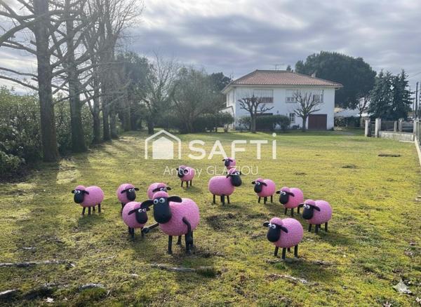 Terrain arboré - construction à étage > 150 m2