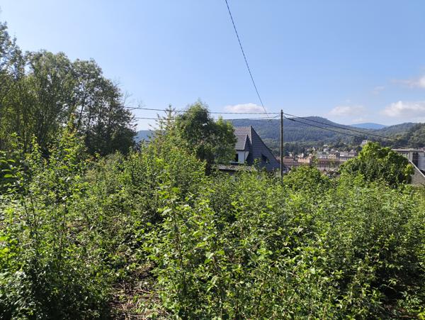 Guebwiller (68500) Terrain de 801 m² à vendre à Guebwiller, libre de constructeur