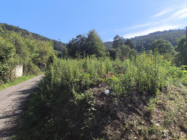 Guebwiller (68500) Terrain de 801 m² à vendre à Guebwiller, libre de constructeur