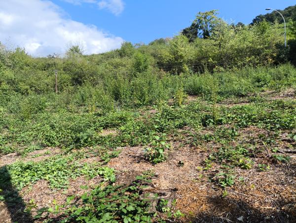 Guebwiller (68500) Terrain de 801 m² à vendre à Guebwiller, libre de constructeur