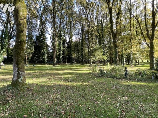 Mur et fond de restaurant