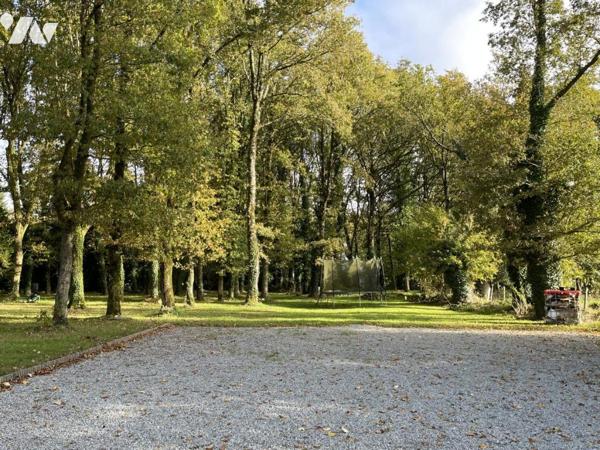 Mur et fond de restaurant