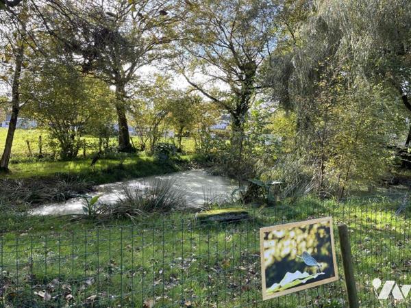 Mur et fond de restaurant