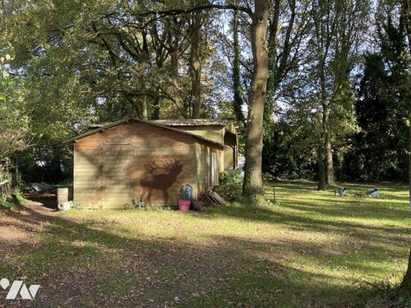Mur et fond de restaurant