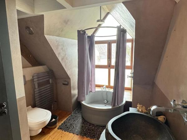 Maison de maitre 10 pièces 290m²