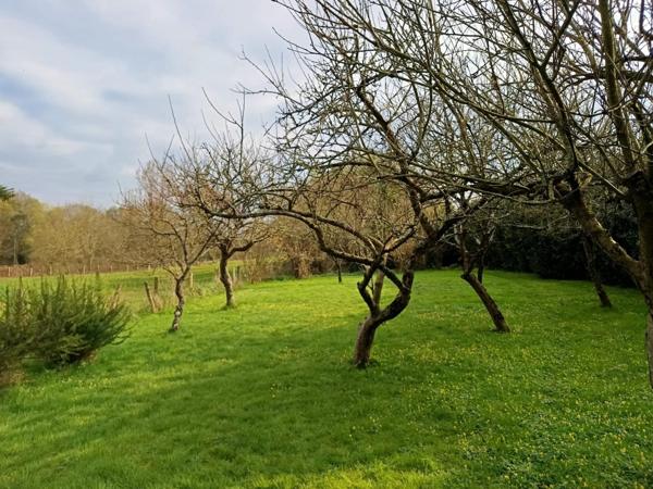 Longère en pierres atypique, au calme sans vis-à-vis