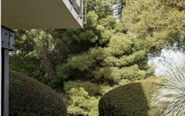 Vente Appartement P3 +jardin+terrasse Lyon 8ème