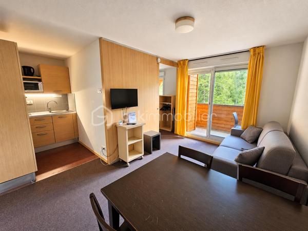 Valérie LARRIER vous propose **EN EXCLUSIVITE**, proche centre station, dans une résidence recherchée pour son confort et ses prestations, découvrez cet appartement idéalement conçu pour profiter pleinement de la montagne, été comme hiver.

Pensé pour accueillir jusqu’à 6 personnes, il se compose de :
une entrée avec coin montagne équipé de lits superposés
une chambre indépendante avec lit double
un séjour avec canapé convertible
une kitchenette fonctionnelle ouverte sur la pièce de vie
une salle de bains
toilettes

La pièce de vie s’ouvre sur une terrasse

🚗 Un emplacement de PARKING EXTERIEUR PRIVATIF vient compléter le bien, un vrai plus en station.

Les atouts de la résidence :
🎿 DEPART ET RETOUR SKIS AUX PIEDS : télésiège à proximité immédiate + la piste de skis passe derrière l'immeuble pour le retour
💦 Piscine chauffée et hammam, idéals pour la détente après le ski (été + hiver)
⬆️ Ascenseur
🏪 Commerces et services accessibles à pied

👉 Adapté à une résidence secondaire ou à un investissement locatif dans une station dynamique des Alpes du Sud.

Charges : 4 000 € / an (EAU + ELECTRICITE COMPRISES)
Taxe foncière 670 €