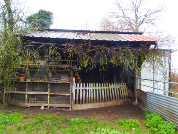 Pavillon sur sous-sol total