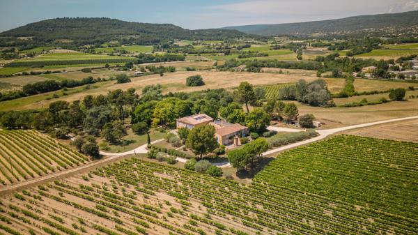 Vignoble du XVIIIᵉ siècle dans le Luberon avec gites – Une propriété d’exception en Provence