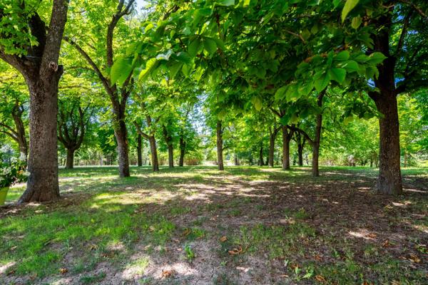 Vignoble du XVIIIᵉ siècle dans le Luberon avec gites – Une propriété d’exception en Provence